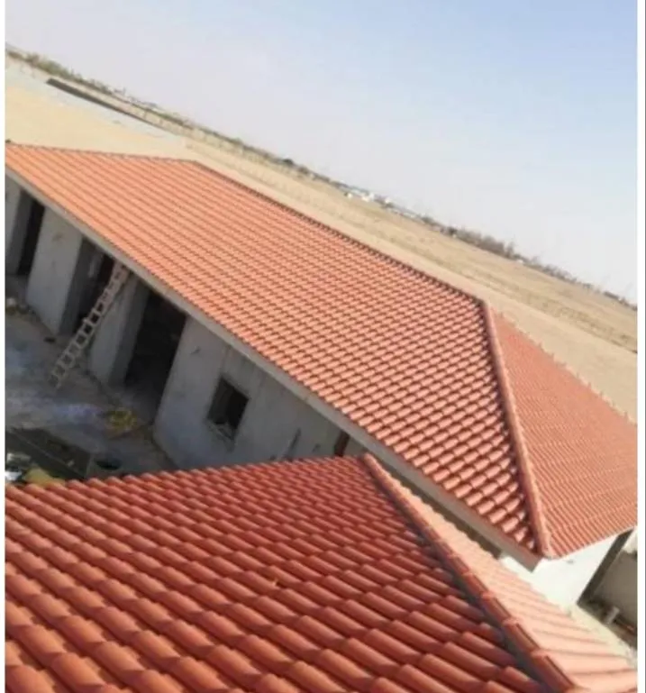 ملاحق مودرن صغيرة خارجية بحي الربيع وحي الرمال: أفكار مبتكرة