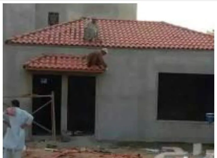 ملاحق مودرن صغيرة خارجية بحي الربيع وحي الرمال: أفكار مبتكرة